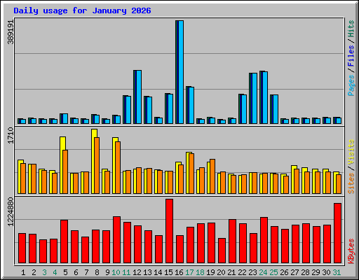 Daily usage for January 2026