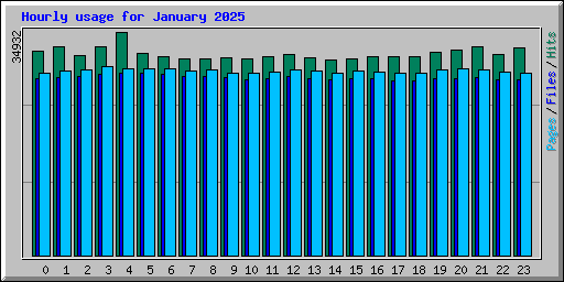 Hourly usage for January 2025
