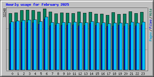 Hourly usage for February 2025