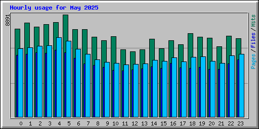 Hourly usage for May 2025