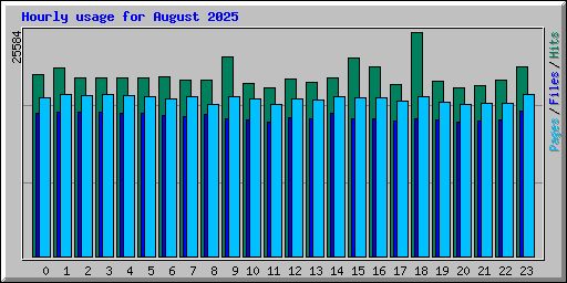 Hourly usage for August 2025
