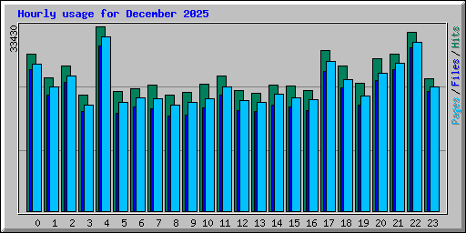 Hourly usage for December 2025