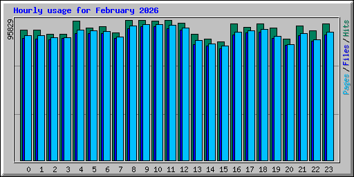 Hourly usage for February 2026